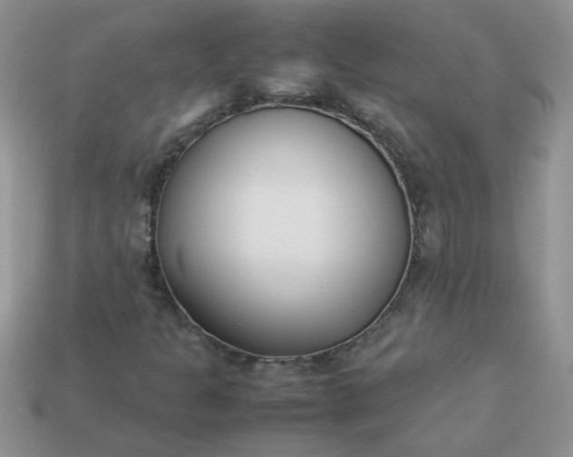 X0000113031301200909101849