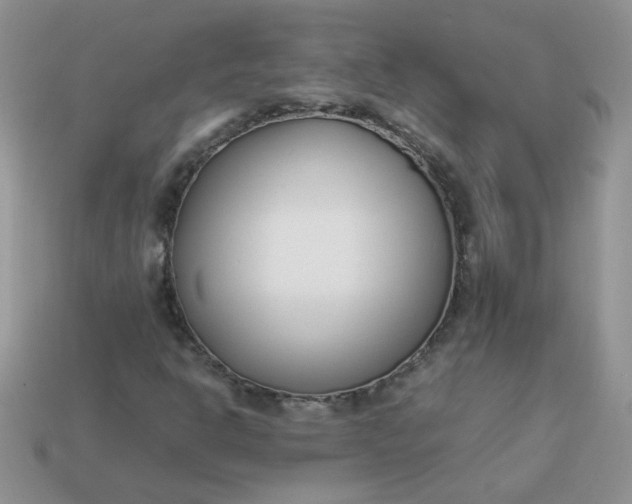 X0000113031302200909101849