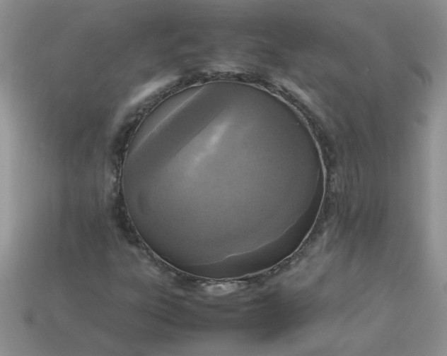 X0000113031303200909101849