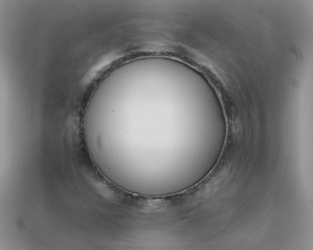 X0000113031304200909101849