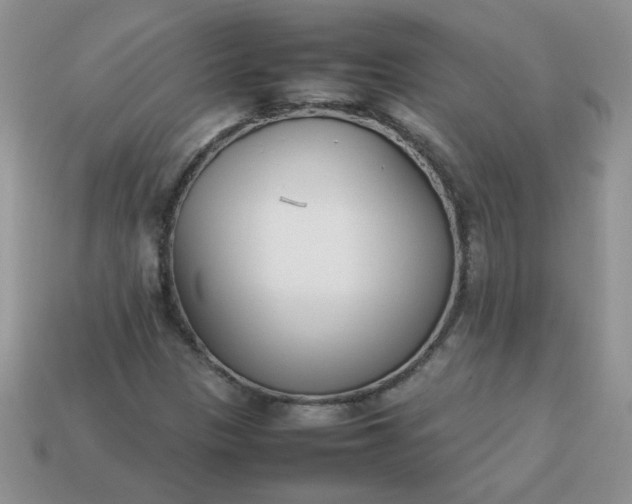 X0000113031305200909101849