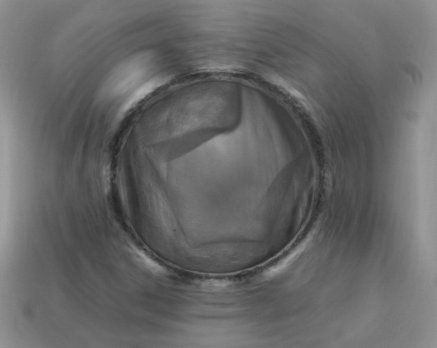 X0000113031306200909101849