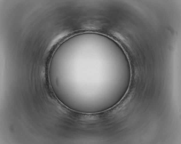 X0000113031307200909101850