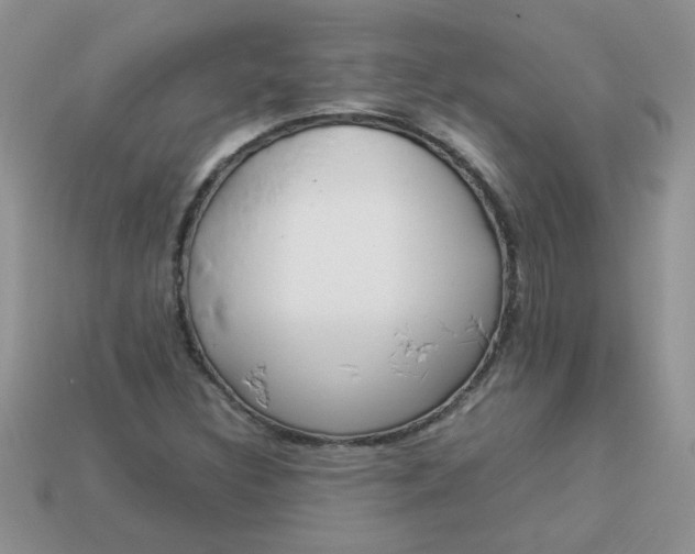 X0000113031308200909101850