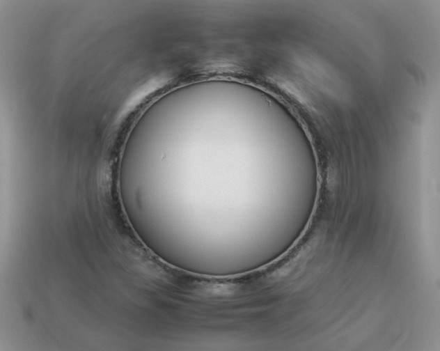 X0000113031309200909101850