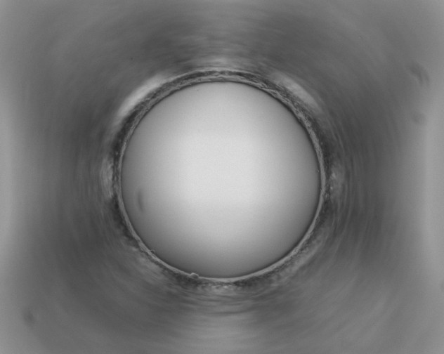 X0000113031310200909101850