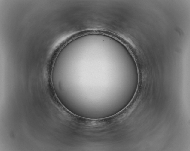 X0000113031311200909101850