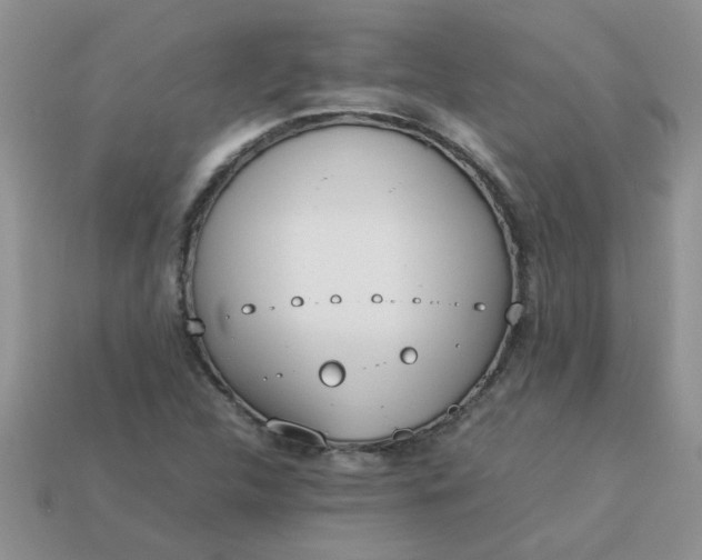 X0000113031312200909101850