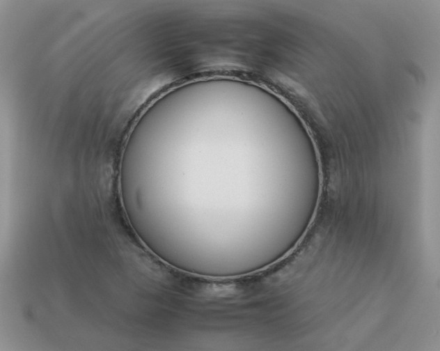 X0000113031313200909101850