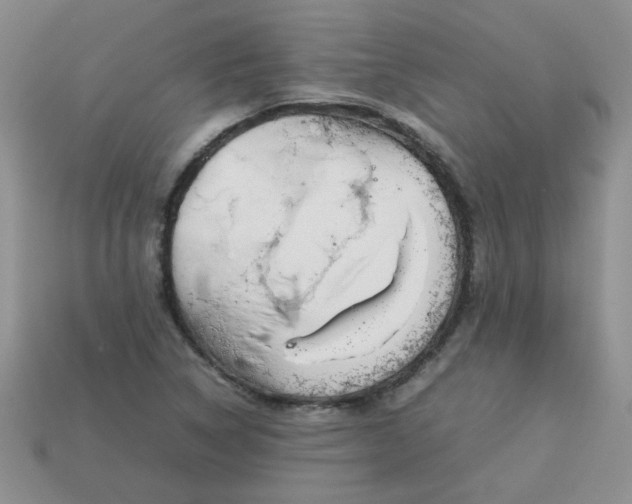 X0000113031314200909101850