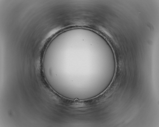 X0000113031315200909101850