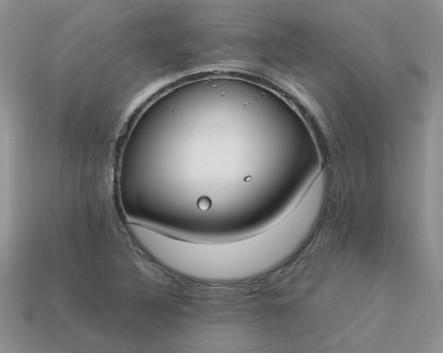 X0000113031316200909101850