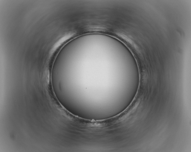 X0000113031317200909101850