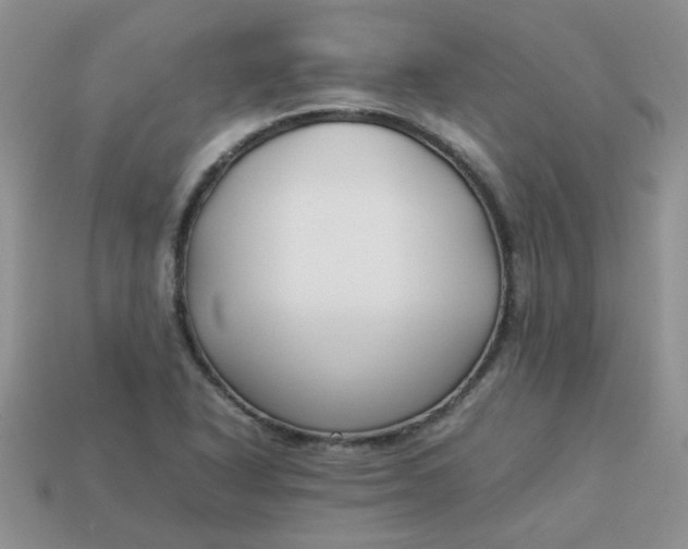 X0000113031318200909101850