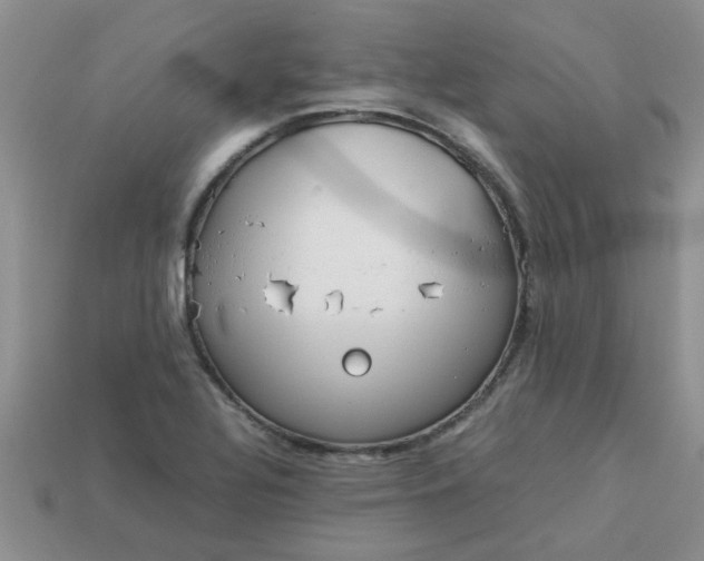 X0000113031320200909101850