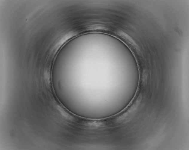 X0000113031321200909101850