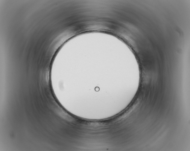 X0000113031322200909101850