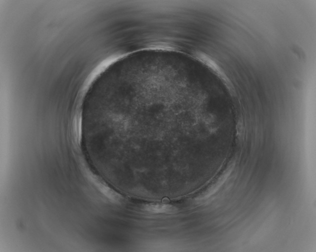 X0000113031323200909101850