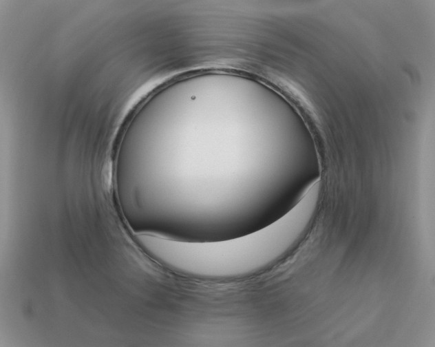 X0000113031324200909101850