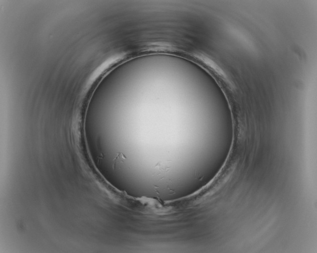 X0000113031325200909101850