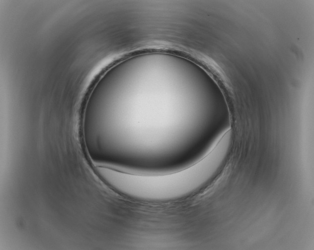 X0000113031326200909101850