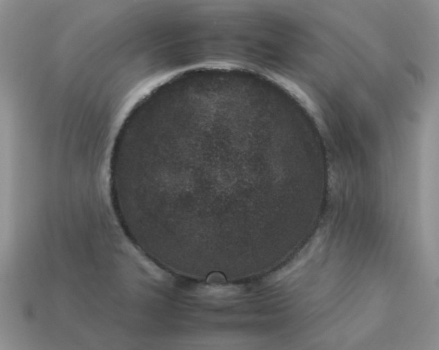 X0000113031327200909101850