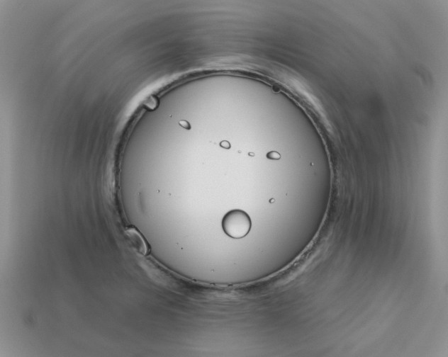 X0000113031328200909101850