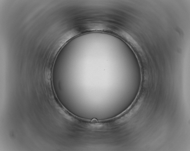 X0000113031329200909101850