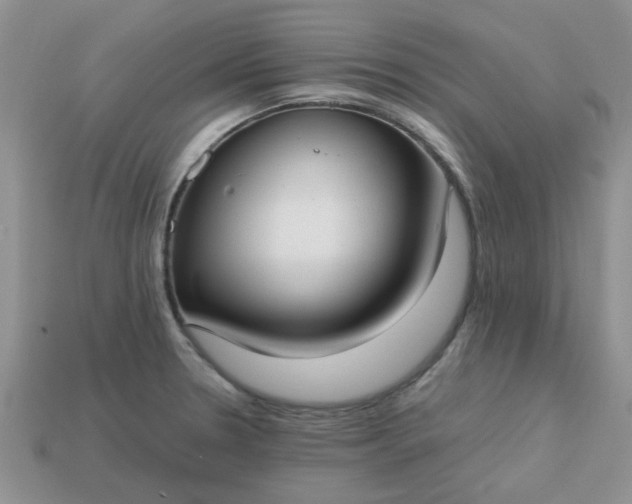 X0000113031330200909101850