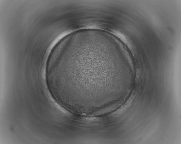 X0000113031331200909101850