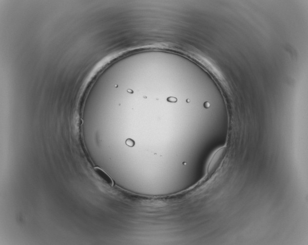 X0000113031332200909101850