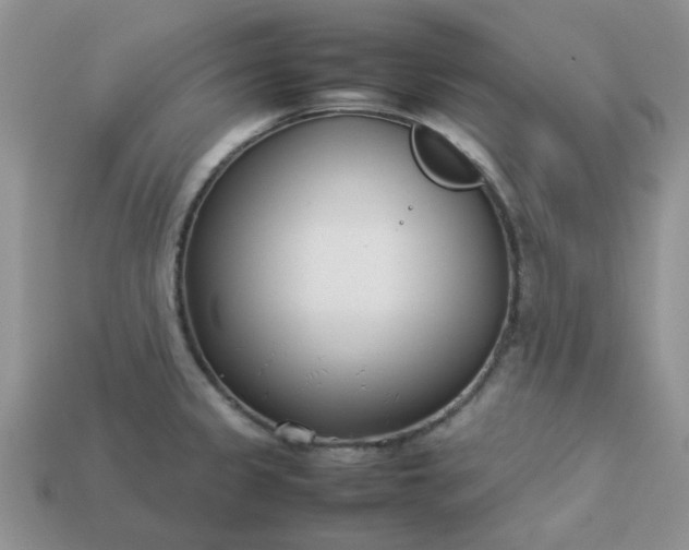 X0000113031333200909101850