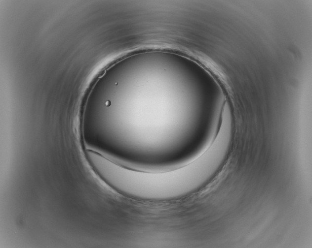 X0000113031334200909101850