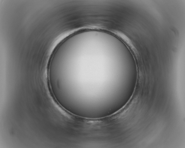 X0000113031335200909101850