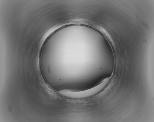 X0000113031336200909101850