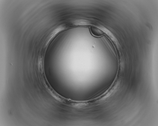 X0000113031337200909101850