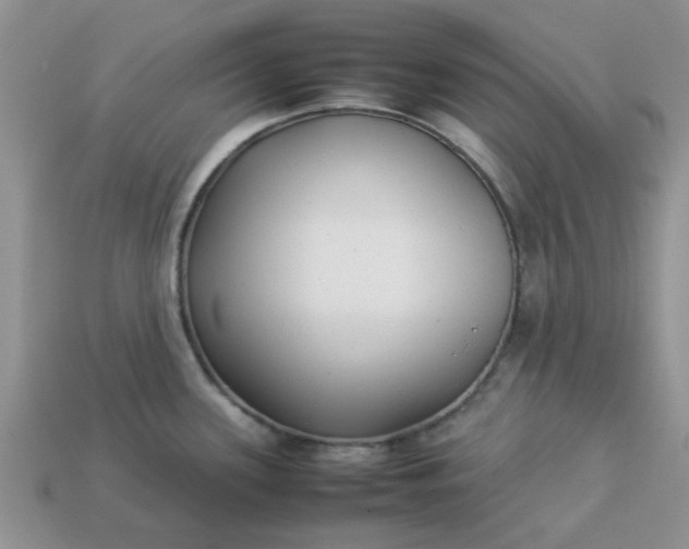 X0000113031339200909101850