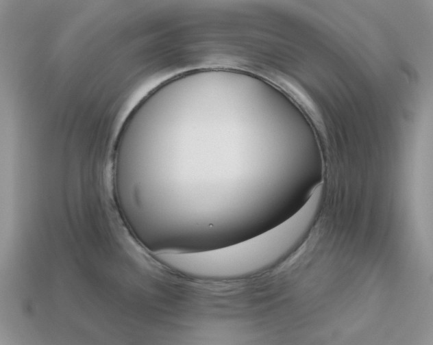 X0000113031340200909101850