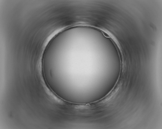 X0000113031341200909101850