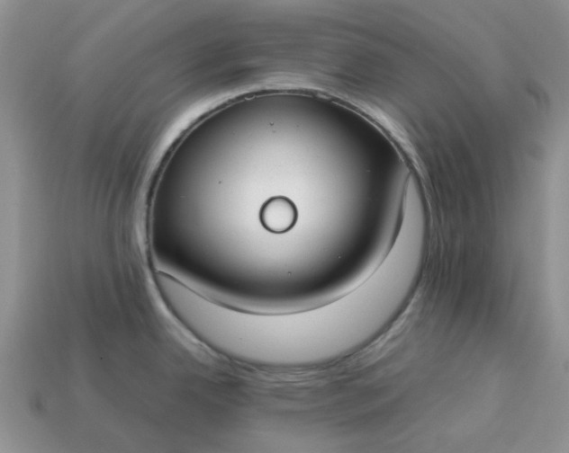 X0000113031342200909101850