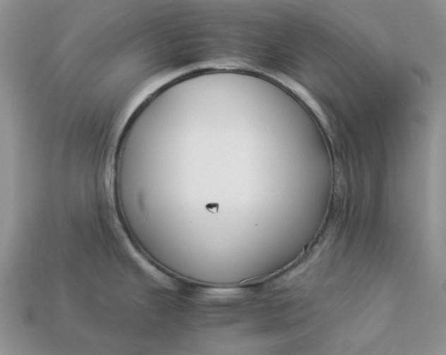 X0000113031343200909101850