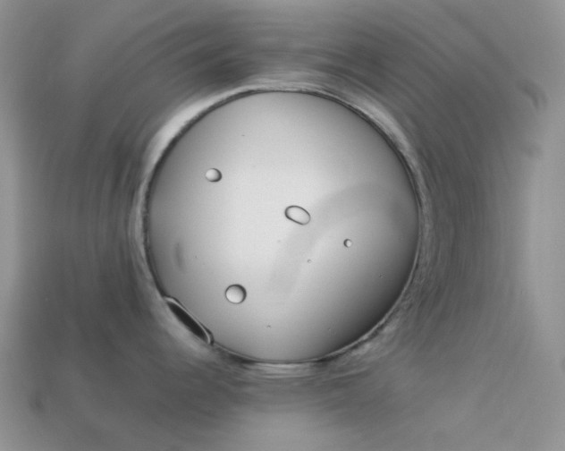 X0000113031344200909101850