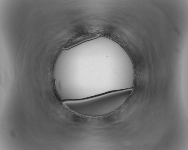 X0000113031345200909101849