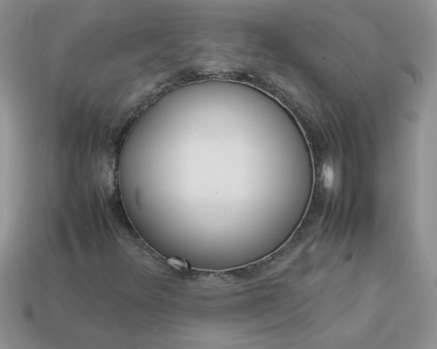 X0000113031348200909101849