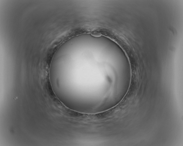 X0000113031349200909101849