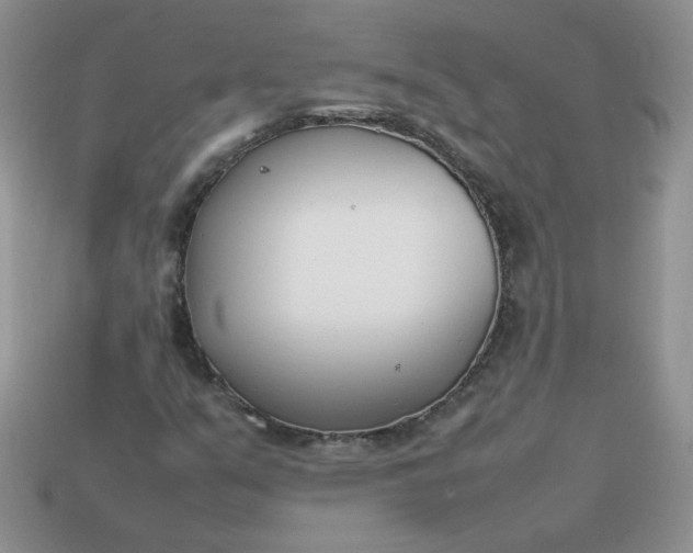 X0000113031351200909101849