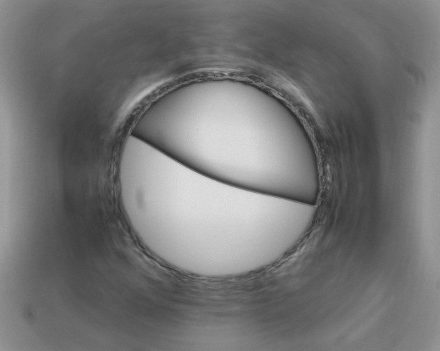 X0000113031352200909101849