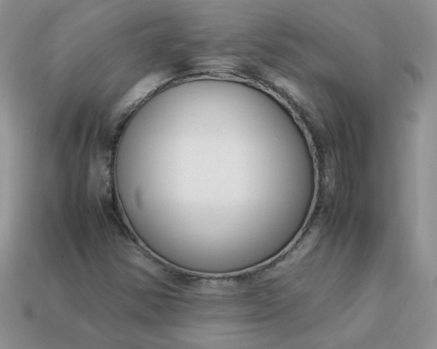 X0000113031354200909101849