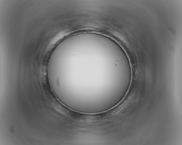 X0000113031355200909101849