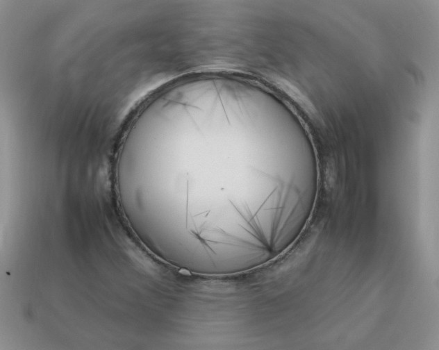 X0000113031356200909101849